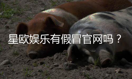 星欧娱乐有假冒官网吗?教你识别正规平台与防骗技巧