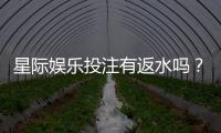 星际娱乐投注有返水吗？揭秘平台返水政策与实战技巧