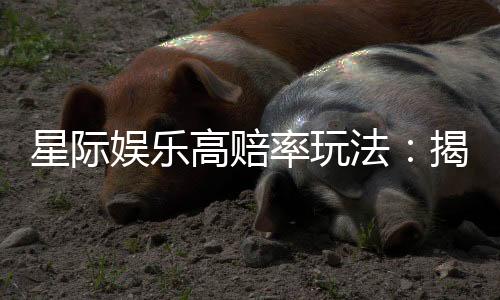 星际娱乐高赔率玩法:揭秘高回报的实战技巧与策略