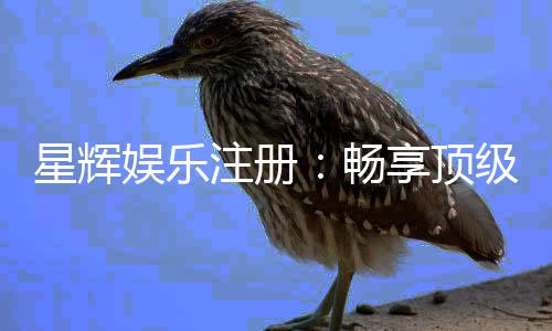 星辉娱乐注册:畅享顶级棋牌电游的尊贵体验