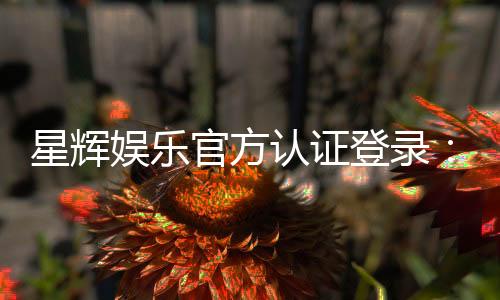 星辉娱乐官方认证登录:安全便捷的一站式游戏入口