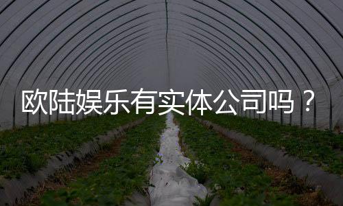 欧陆娱乐有实体公司吗?深度解析其线下运营与资质背景