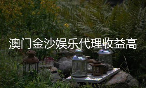 澳门金沙娱乐代理收益高吗?揭秘高收益背后的真相与策略