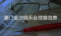 澳门金沙娱乐会泄露信息吗？深度解析其信息安全与防护措施