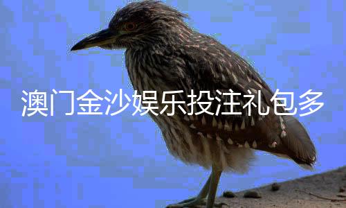 澳门金沙娱乐投注礼包多吗？揭秘新手必领的三大隐藏福利