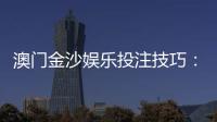 澳门金沙娱乐投注技巧：资深玩家分享实战必胜策略
