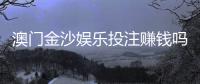 澳门金沙娱乐投注赚钱吗？揭秘高胜率玩家的盈利技巧与风险控制