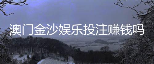 澳门金沙娱乐投注赚钱吗?揭秘高胜率玩家的实战技巧与风险把控