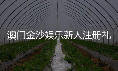 澳门金沙娱乐新人注册礼包:首存豪礼与独家优惠大放送
