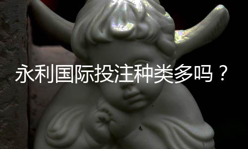 永利国际投注种类多吗?