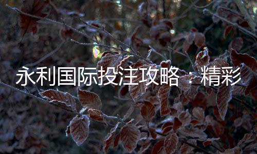 永利国际投注攻略：精彩游戏玩法大揭秘