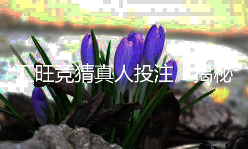 汇旺竞猜真人投注:揭秘高胜率玩家的实战技巧与策略