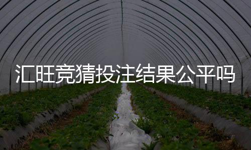 汇旺竞猜投注结果公平吗？深度解析平台公正性与玩家实测反馈