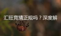 汇旺竞猜正规吗？深度解析其安全性与可靠性