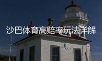 沙巴体育高赔率玩法详解：新手入门与实战投注技巧