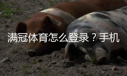 满冠体育怎么登录?手机与网页版详细步骤及常见登录问题解决