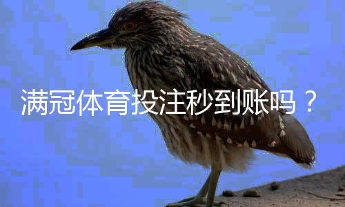 满冠体育投注秒到账吗?到账速度、延迟原因与最快提款攻略