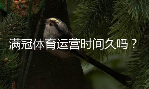 满冠体育运营时间久吗?成立时间、运营历史与安全性全解析