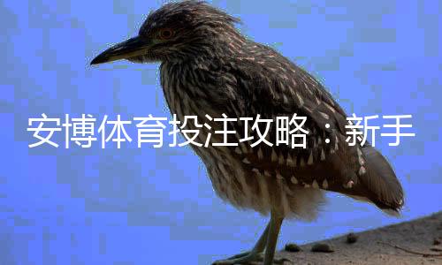 安博体育投注攻略:新手注册、充值、玩法规则与风险提示