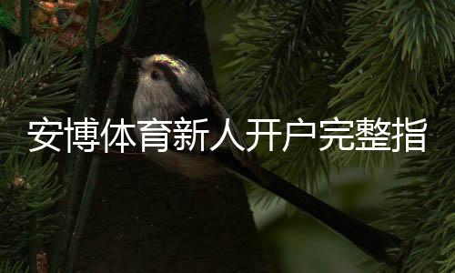 安博体育新人开户完整指南:注册流程、实名认证与常见问题详解