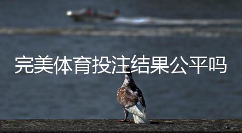 完美体育投注结果公平吗?专家揭秘公平性判定方法与维权指南