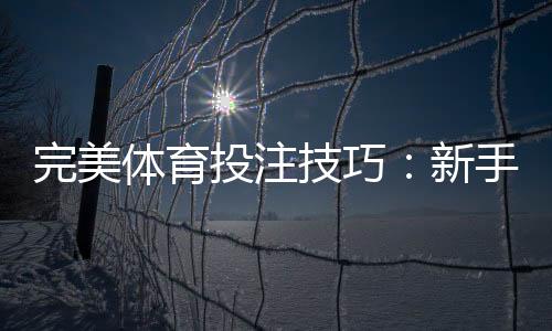 完美体育投注技巧：新手必学的实战策略、资金管理与风险控制