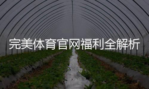 完美体育官网福利全解析:新人注册优惠、日常活动与领取攻略