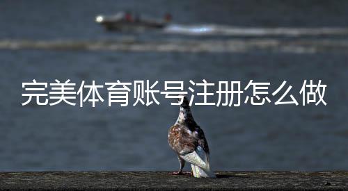 完美体育账号注册怎么做?新手必看图文步骤与常见问题解答