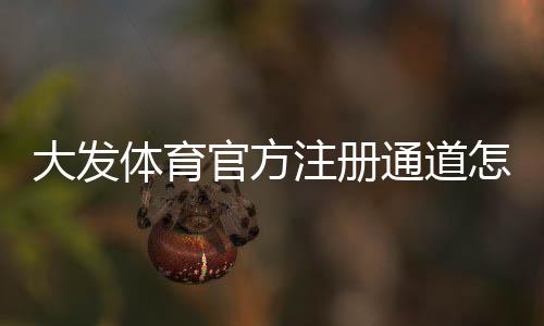 大发体育官方注册通道怎么进？最新注册教程、验证流程与常见问题全解