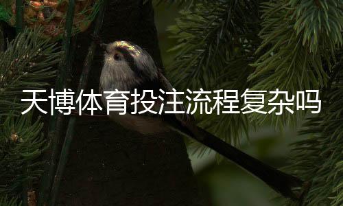 天博体育投注流程复杂吗?新手一看就会的简单操作与注意事项