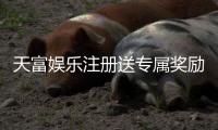 天富娱乐注册送专属奖励：新会员专享高额礼金与独家优惠