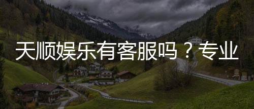 天顺娱乐有客服吗?专业客服团队24小时在线解答疑问