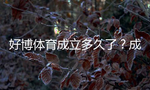 好博体育成立多久了?成立时间、发展历程与资质可信度全解析