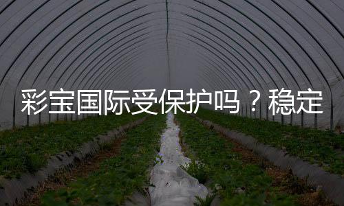 彩宝国际受保护吗?稳定有利益保障吗?