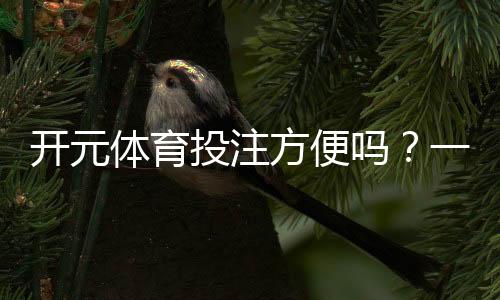 开元体育投注方便吗?一文详解其操作流程与优势体验