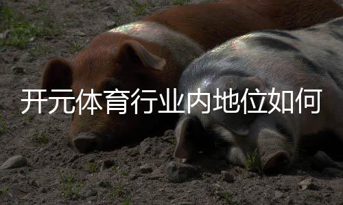 开元体育行业内地位如何?深度解析其市场影响力与竞争优势