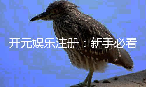 开元娱乐注册:新手必看的开户流程与操作指南