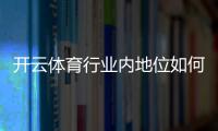 开云体育行业内地位如何？市场份额、竞争优势与发展前景一文看懂