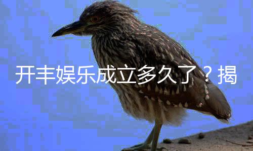 开丰娱乐成立多久了？揭秘其发展历程与品牌实力