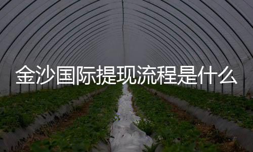 金沙国际提现流程是什么?详细步骤与到账时间解析