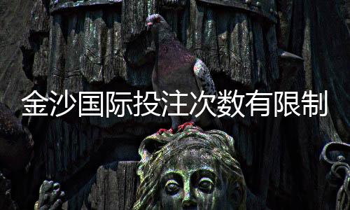 金沙国际投注次数有限制吗?详解平台规则与下注技巧