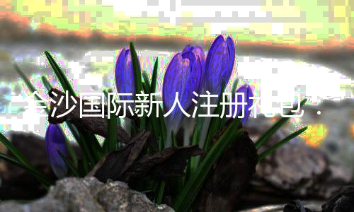 金沙国际新人注册礼包:首存豪礼与高返水攻略一网打尽