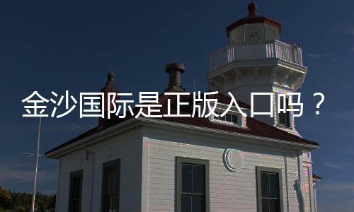 金沙国际是正版入口吗?揭秘平台资质与安全玩法指南