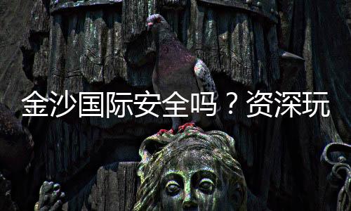 金沙国际安全吗?资深玩家解析平台可靠性与游戏体验