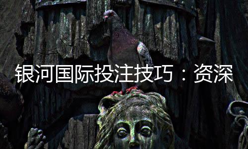 银河国际投注技巧:资深玩家分享实战盈利策略