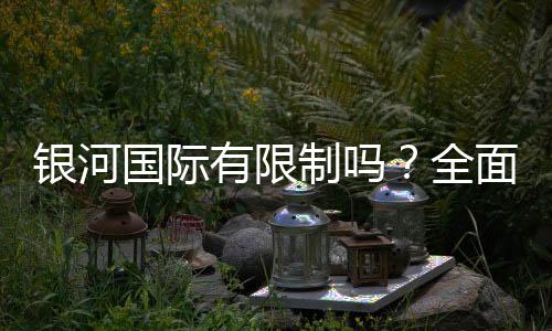 银河国际有限制吗?全面解析平台规则与玩法限制