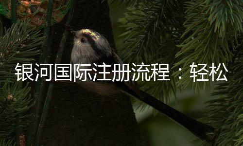 银河国际注册流程:轻松完成开户与首存步骤指南