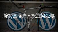 锦绣国际真人投注何处寻找游戏乐趣？
