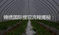 锦绣国际提现流程揭秘：简单快速，轻松取现！