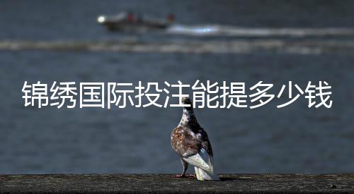 锦绣国际投注能提多少钱？赌场盈利秘籍